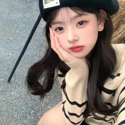 梅花档案 封面