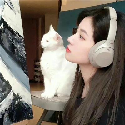 黑猫扎飞 封面