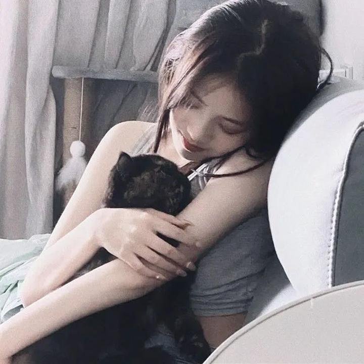 孤独社畜 封面